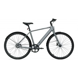 Tenways CGO600 PRO 25Km/h grey, taille M